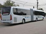 Marcopolo Viale BRT 2012 года